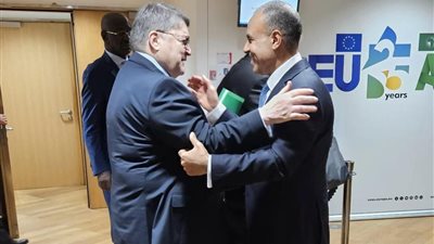 وزير الخارجية يعقد سلسلة لقاءات ثنائية على هامش الاجتماع الإفريقي الأوروبي ببروكسل