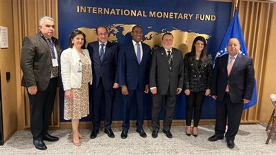 صندوق النقد الدولي يجدد شراكته القوية مع مصر: تبني نظام سعر صرف مرن