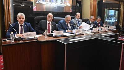 الهنيدي: قانون تقسيم الدوائر يستهدف ضبط التمثيل النيابي بدقة