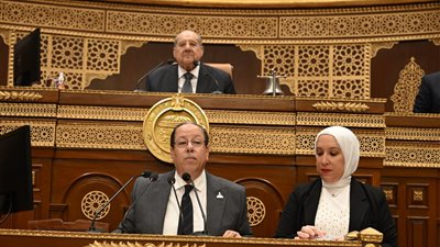 الشيوخ يوافق مبدئيًا على تعديلات قانون مجلس الشيوخ رقم 141 لسنة 2020