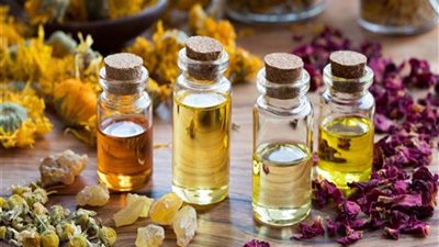 خبير زراعي: مصر تحقق طفرة نوعية في إنتاج الزيوت العطرية والطبية