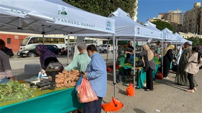 الجيزة: إقامة 19 سوقا للسلع واللحوم بالمرحلة الثانية لأسواق اليوم الواحد