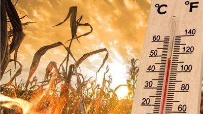 موجة شديدة الحرارة.. الأرصاد تكشف حالة الطقس اليوم الأحد