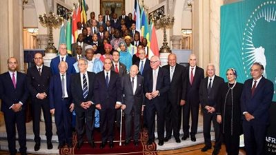 وزير الخارجية: مصر تطلع لدعم أفريقي لترشيح خالد العناني لليونسكو