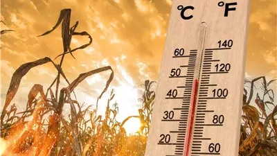  اليوم الإثنين ذروة الموجة شديدة الحرارة والقاهرة تسجل 40 درجة 