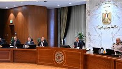 الوزراء: الطاقة المتجددة شكلت 92.5% من إجمالى التوسع فى الطاقة عالميًا