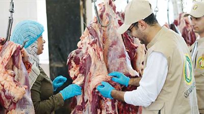 لليوم الثاني.. تواصل عمليات ذبح أضاحي الأوقاف بإشراف بيطري متخصص