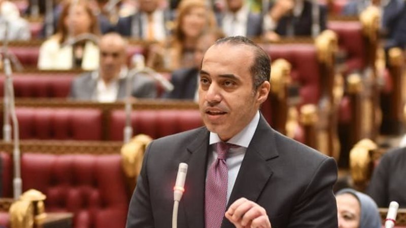 المستشار محمود فوزي
