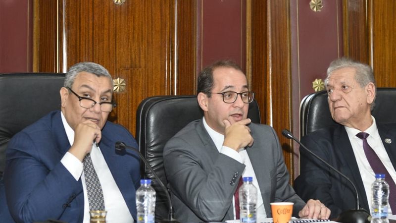 النائب مصطفى سالم