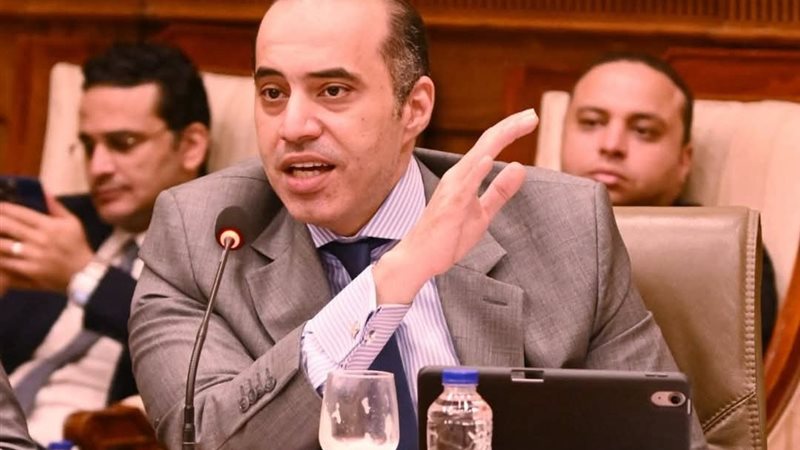 المستشار محمود فوزي