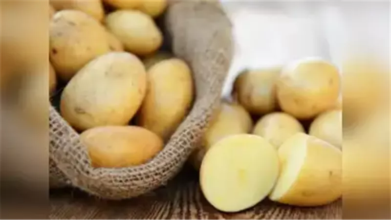 زيادة في الصادرات