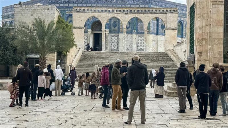 مئات المستوطنين الإسرائيليين