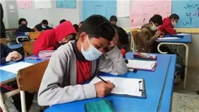 رابط مباشر.. نتيجة الصف السادس الابتدائي 2025 بمحافظة القاهرة