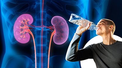 هل شرب الماء أثناء الوقوف مضر بالكلى؟.. إليك ما يقوله الأطباء