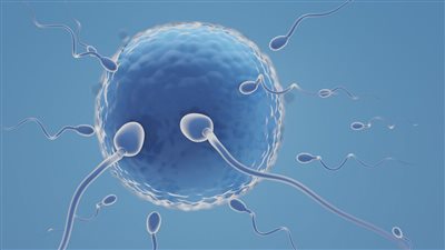 طرق تعزيز الخصوبة عند السيدات.. فيتامينات ضرورية لا غنى عنها