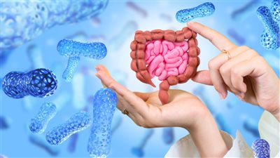 أطعمة يجب تجنبها لعلاج الانتفاخ والإمساك والإسهال.. أبرزها اللحوم