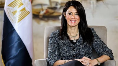 الشركات الناشئة تستقطب 228 مليون دولار تمويلات من يناير إلى مايو 2025