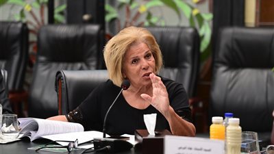 مشيرة خطاب تستقيل من المجلس القومي لحقوق الإنسان