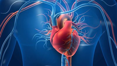 قلبك في خطر.. دراسة جديدة تحذر من قلة النوم للشباب الأصحاء 