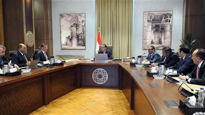 الوزراء: إنشاء المحاجر والمجازر والثلاجات المطلوبة لتوفير اللحوم بأسعار مناسبة للمواطنين