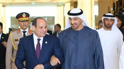 مصر والإمارات يؤكدان أهمية الوقف الفوري لإطلاق النار في غزة