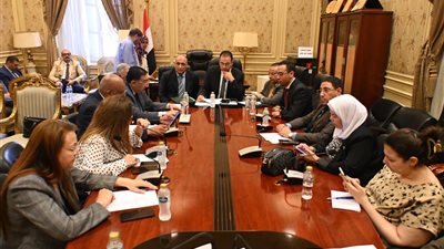 النواب يوصي بتخصيص أرض بيت شباب المنيل وبدء أعمال التطوير
