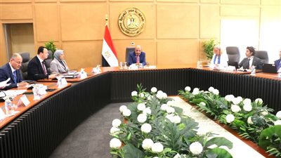 مصر والمفوضية الأوروبية تبحثان تعزيز الشراكة في الطاقة المتجددة وفتح سوق الكهرباء