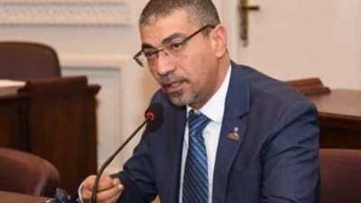 برلماني: زيارة السيسي للإمارات تجسيد لعمق العلاقات الأخوية وتعزيز للأمن الإقليمي