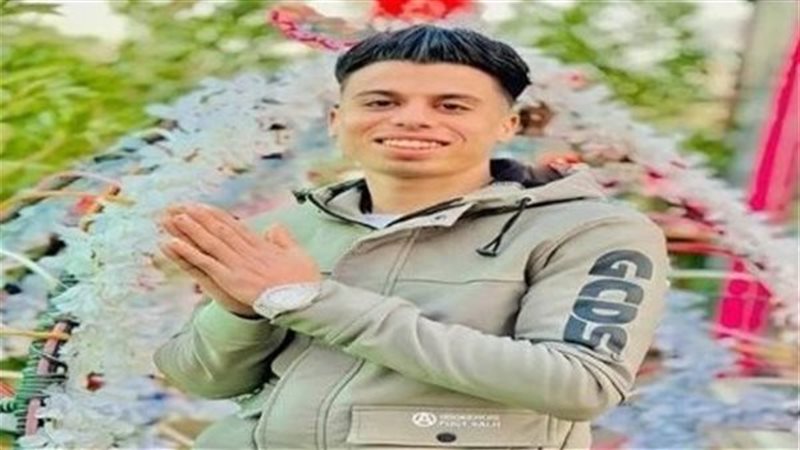 عريس البراجيل المجني