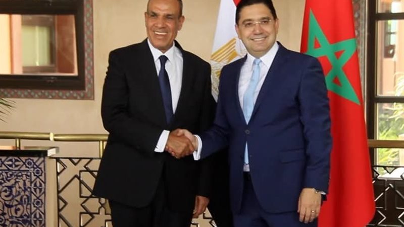 وزيرا خارجية مصر