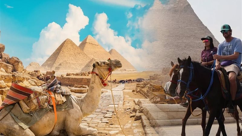 قطاع السياحة