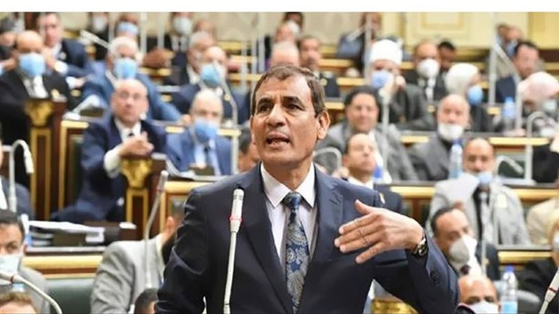 النائب محمد عبدالعليم
