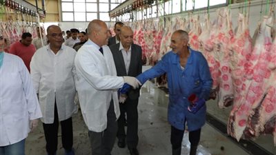 بالمجان وعلى مدار 24 ساعة.. مجازر لذبح الأضاحي في القاهرة 