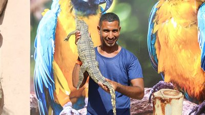 رغم الإقبال الضعيف.. هنا 