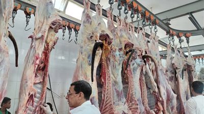 التضامن: توزيع 2.5 مليون وجبة خلال ذي الحجة وعيد الأضحى المبارك