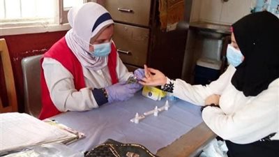 فحص 3 ملايين و251 ألف سيدة ضمن مبادرة «العناية بصحة الأم والجنين»
