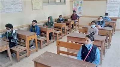 رابط نتيجة الصف الخامس الابتدائي في القاهرة.. برقم الجلوس