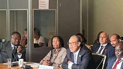 مصر تؤكد دعمها للسلام والتنمية في إفريقيا خلال منتدى أوسلو