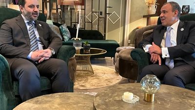 القاهرة تجدد دعمها لوحدة سوريا خلال لقاء أوسلو