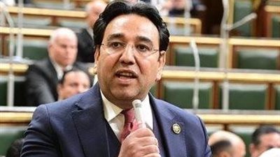 وكيل لجنة الشؤون العربية بالنواب: بيان الخارجية يعكس حرص الدولة على تحقيق التوازن 