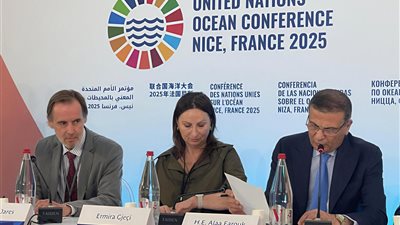  وزير الزراعة: مصر تُولي أهمية كبيرة للتوسع الذكي والمستدام في الاستزراع السمكي