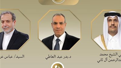 وزير الخارجية يبحث مع نظيريه القطري والإيراني تطورات الأوضاع في المنطقة