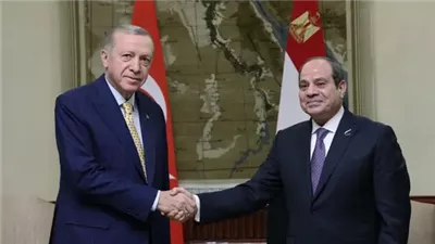 السيسي وأردوغان يؤكدان على الرفض الكامل لتهجير الفلسطينيين من أرضهم