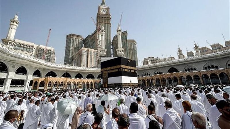 تفصيلة