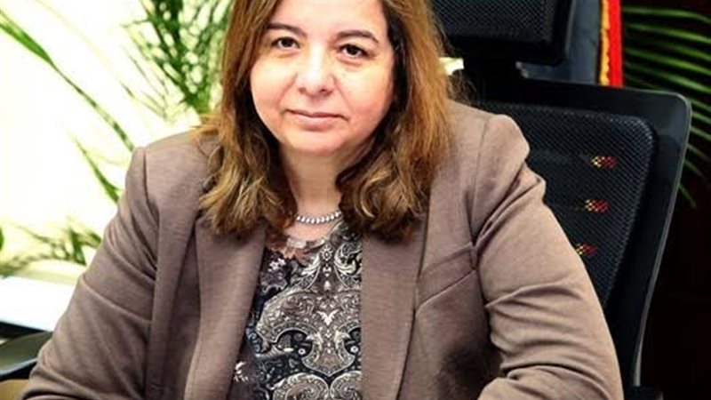 المهندسة مي عبد الحميد