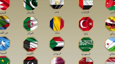 عاجل.. بيان مشترك لمصر ودول عربية وأفريقية بشأن العدوان الإسرائيلي على إيران