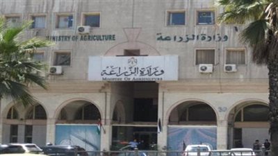 الزراعة: لا أزمة في الأسمدة.. وصرف 300 ألف طن منذ بداية الموسم الصيفي