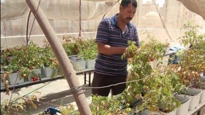 محافظ القاهرة: تعميم تجربة زراعة اسطح العقارات على٤٥٠ عقار  بالأسمرات