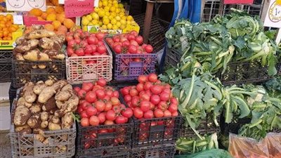 حماية المستهلاك: تلقينا 7009 شكوي من المواطنين في مايو منها 