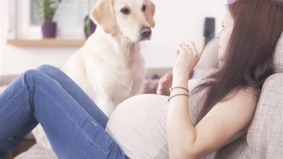 طبيب نساء:  تربية الكلاب أثناء الحمل آمنة ومفيدة نفسيًا